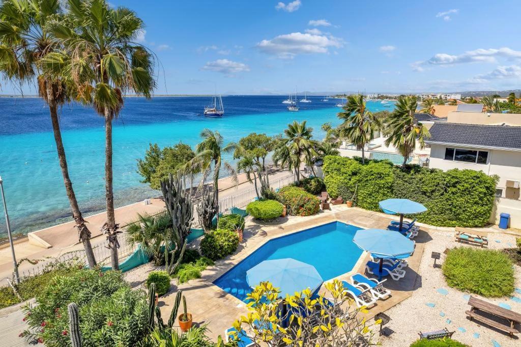 Bonaire Oceanfront Apartments Playa Eksteriør billede