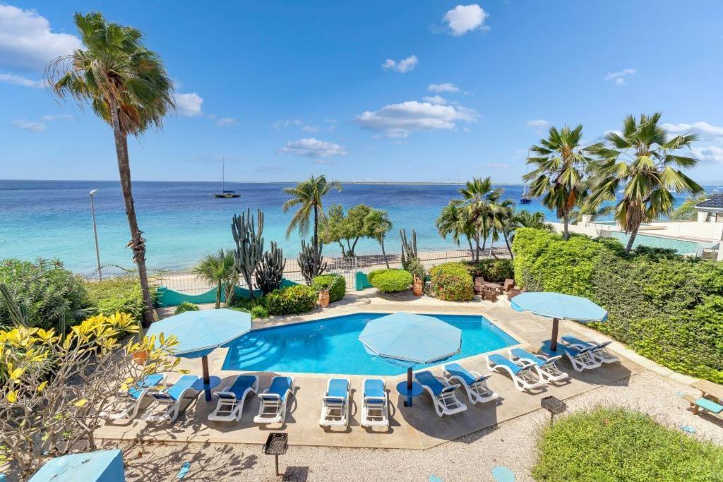 Bonaire Oceanfront Apartments Playa Eksteriør billede