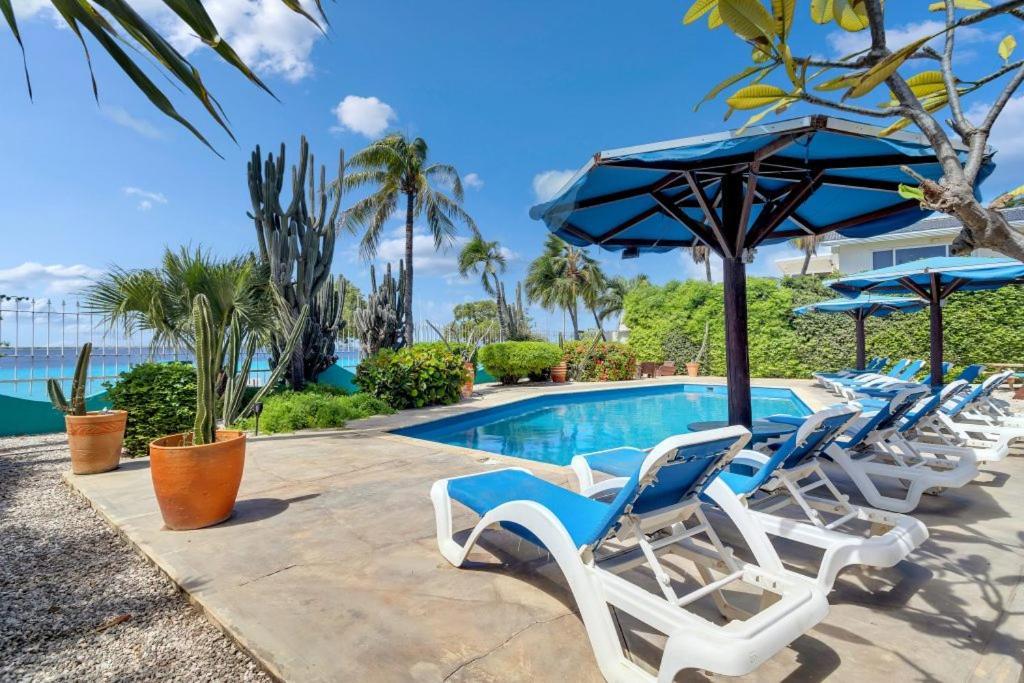Bonaire Oceanfront Apartments Playa Eksteriør billede